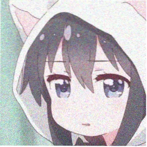 用户 夜航的猫 头像